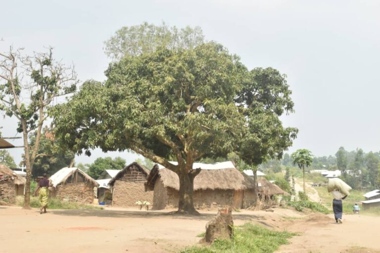 Ituri : les corps de quatre agents humanitaires disparus enfin retrouvés