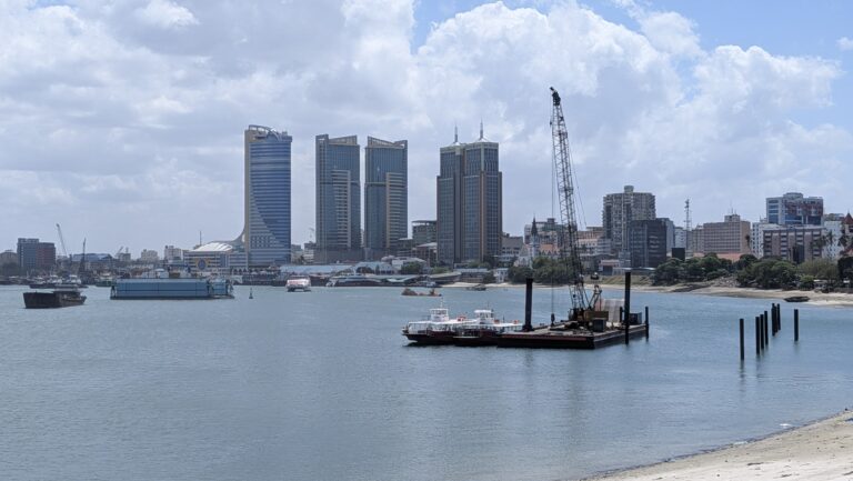 Tanzanie : une assurance voyage de 44 dollars désormais exigée des visiteurs étrangers, les résidents de l’EAC et de la SADC exemptés